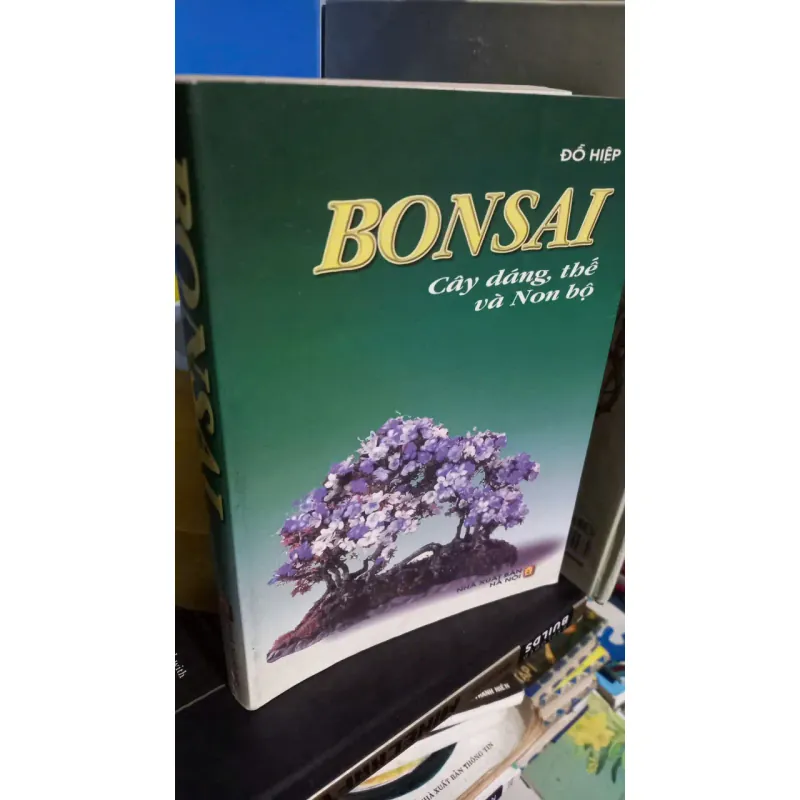 bonsai cây dáng và non bộ 662190