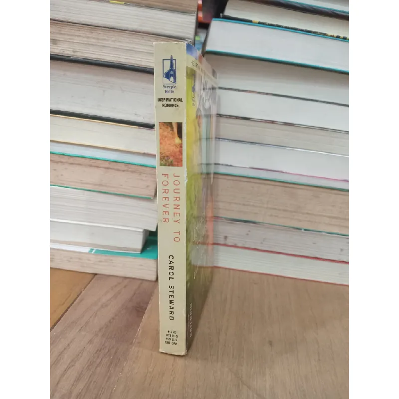 Journey to forever - Carol Steward 707589