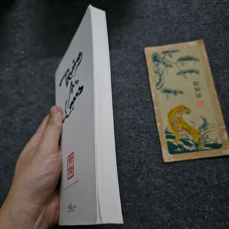 Trường An loạn 732888