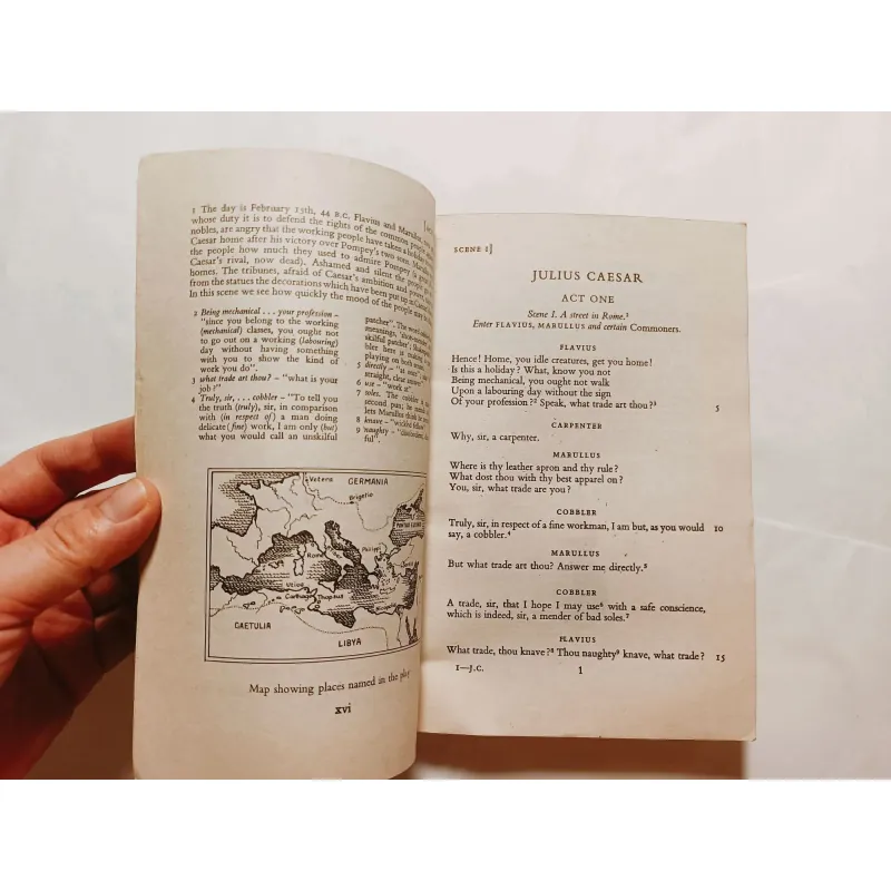 New Swan Shakespeare - Julius Caesar  779091