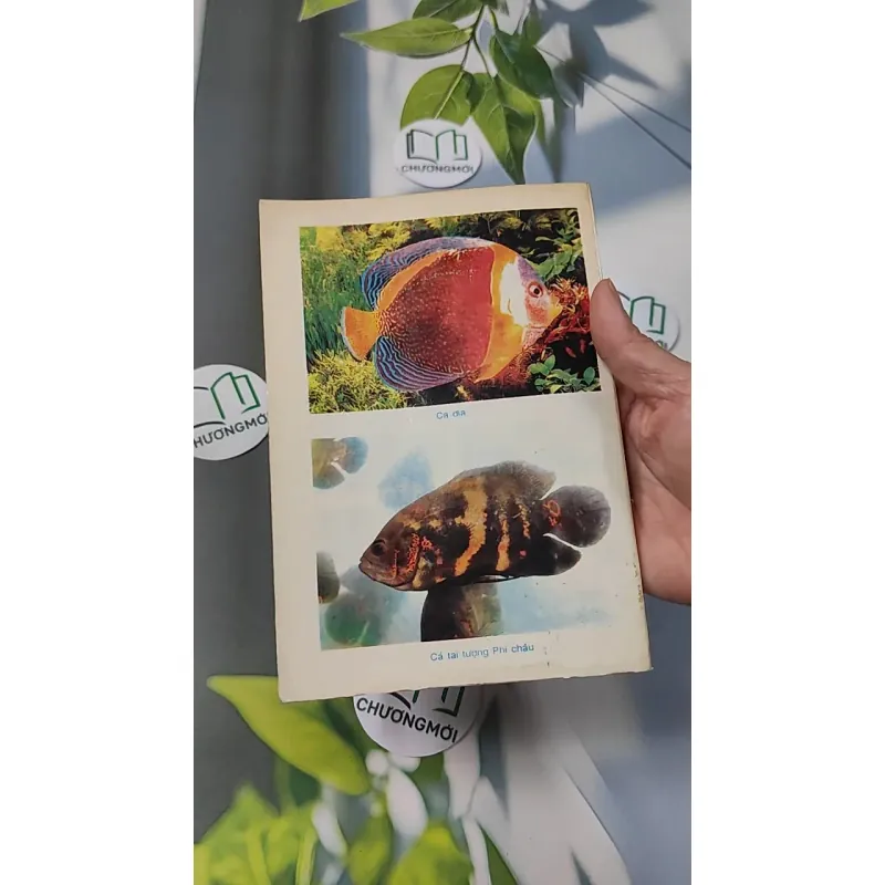 [XƯA] Thú Chơi Cá Kiểng Xưa Và Nay (1996) - Việt Chương 775981