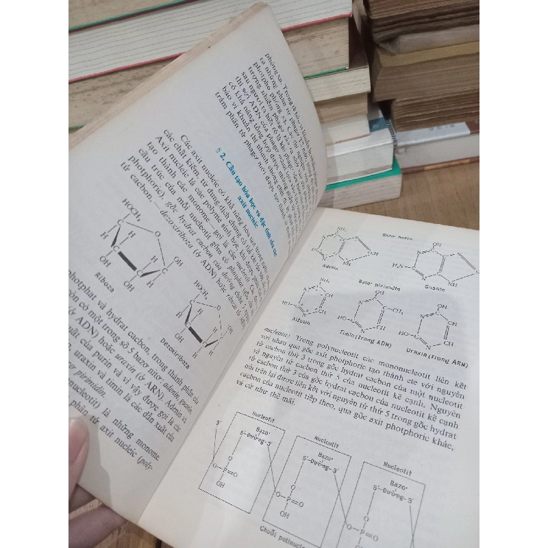 Giáo trình về cơ sở di truyền học - I.P. Karuzina 129730