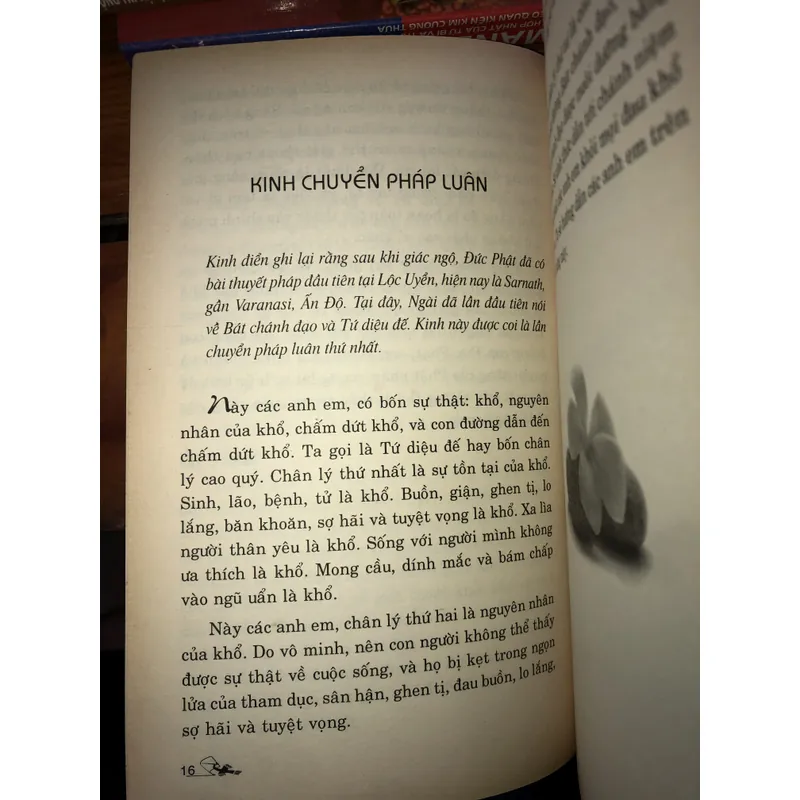 Chân lý về khổ và con đường giải thoát  734476