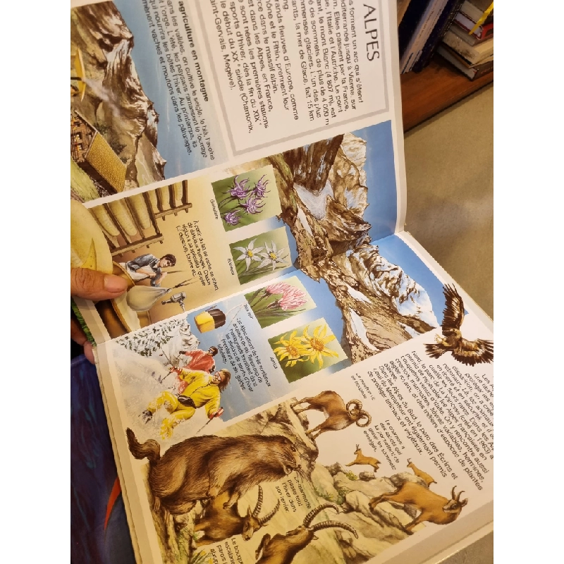 La Grande Imagerie : Pour Les Faire Connaitre Aux Enfants (11 cuốn) 450433