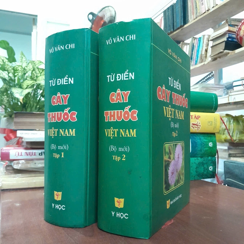 TỪ ĐIỂN CÂY THUỐC VIỆT NAM - VÕ VĂN CHI 455989
