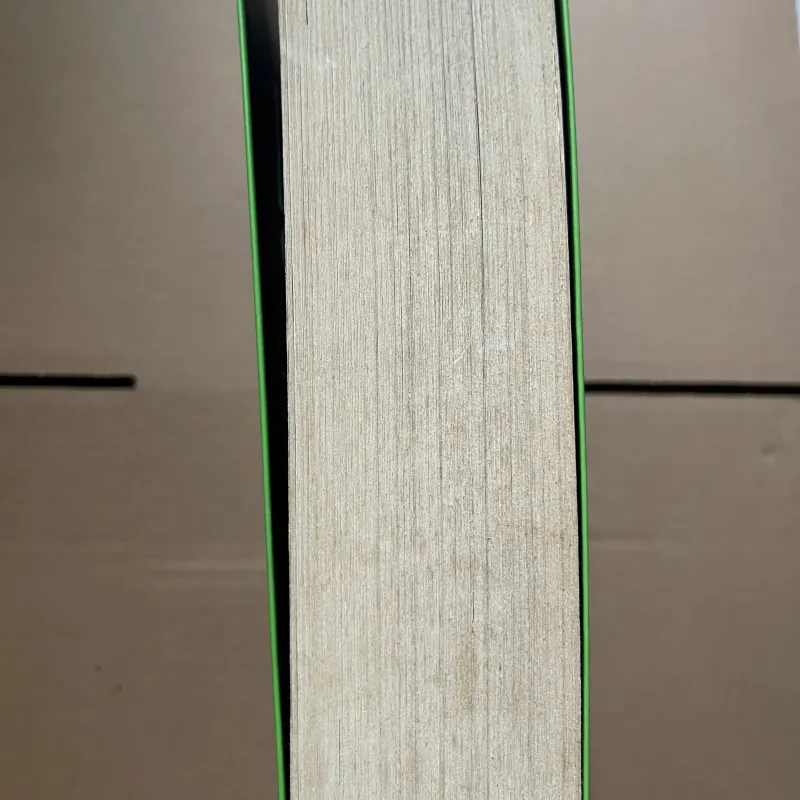 thế giới phẳng 1030582