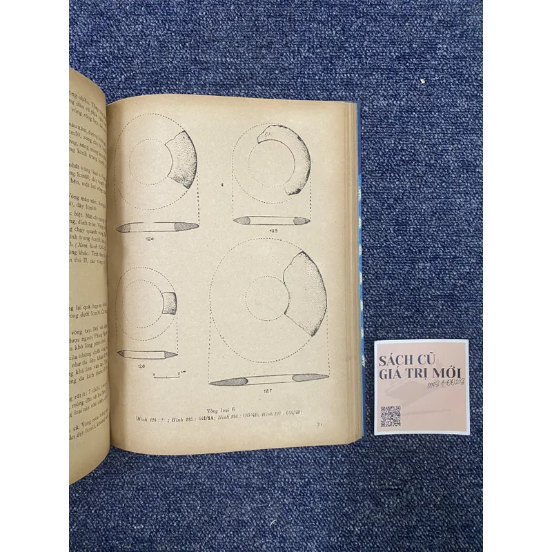 Di chỉ khảo cổ học Phùng Nguyên  715028