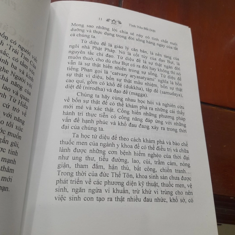 Chân Pháp Đăng - TÌNH YÊU BẤT DIỆT 381883