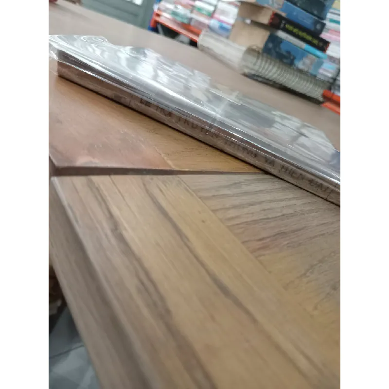 Lễ hội truyền thống và hiện đại - Thu Linh, Đặng Văn Lung 572834