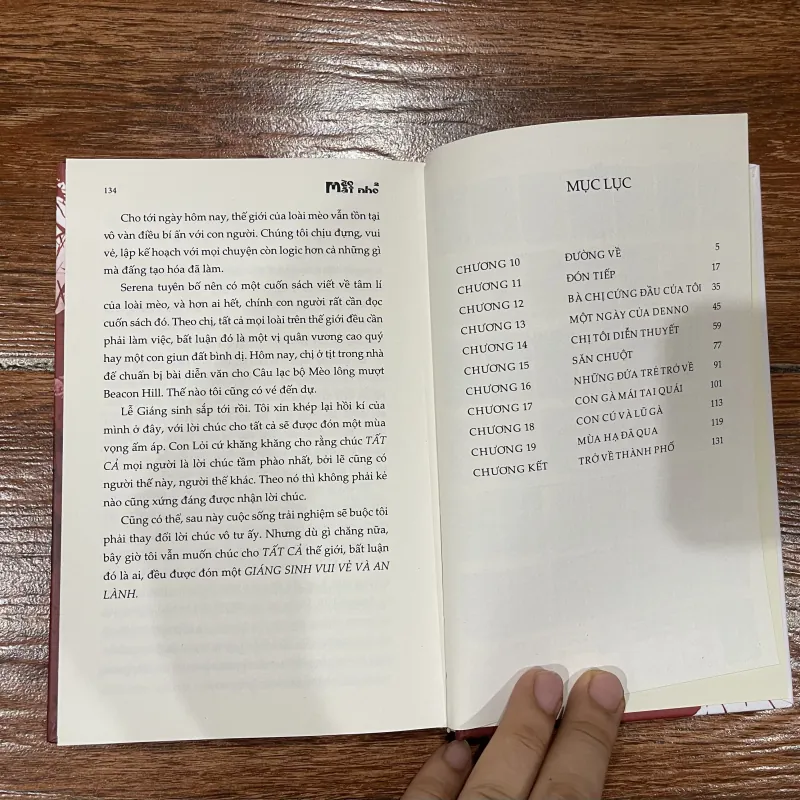 Mèo mặt nhọ 2 (12) 1024242