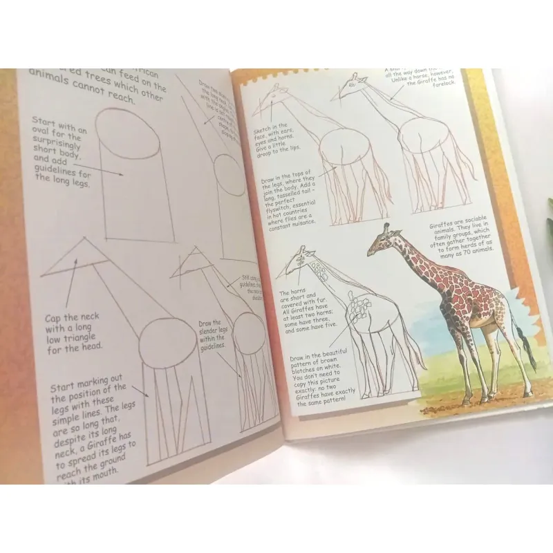 I Can Draw Wild Animals 1002086