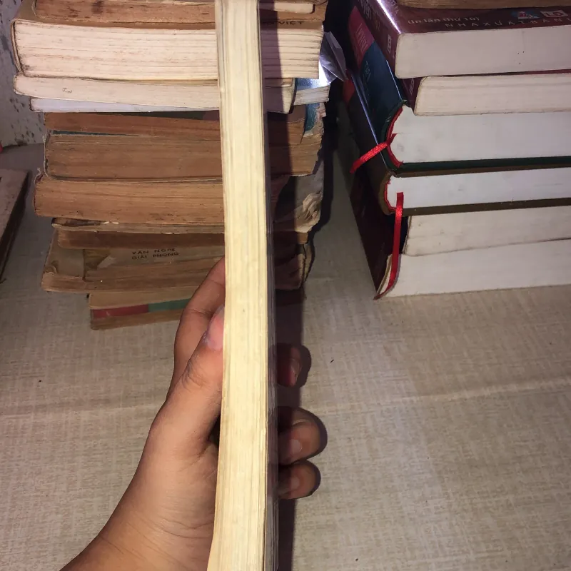 Liệu pháp ăn uống phòng trị bịnh cho người già 993522