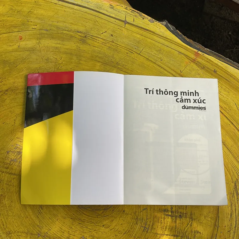 TRÍ THÔNG MINH CẢM XÚC- STEVEN J. STEIN 702053