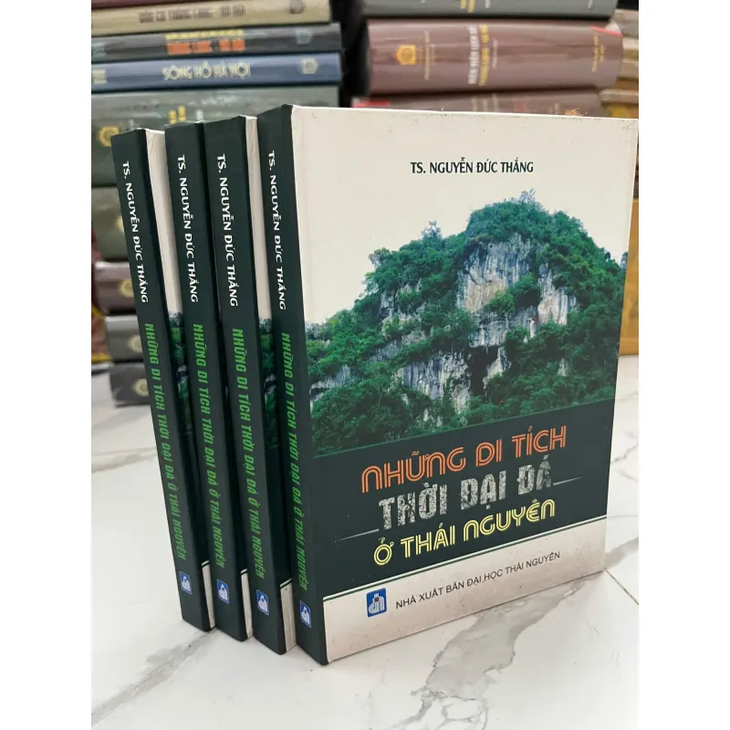 Những di tích thời đại đồ đá ở Thái Nguyên - TS. Nguyễn Đức Thắng 998940