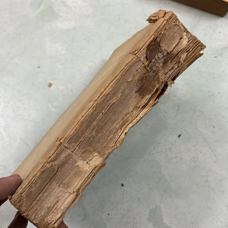 Tuyển tập truyện ngắn M. Gorki (Tập 1) 1019262