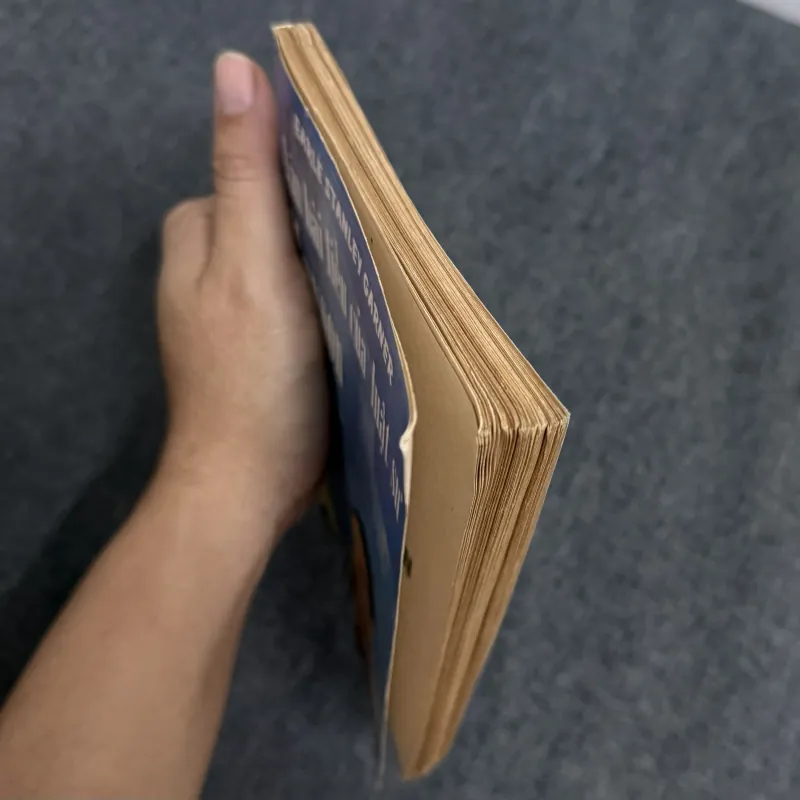 Ván bài liều của luật sư Mayson - Erle Stanley Gardner 1010272