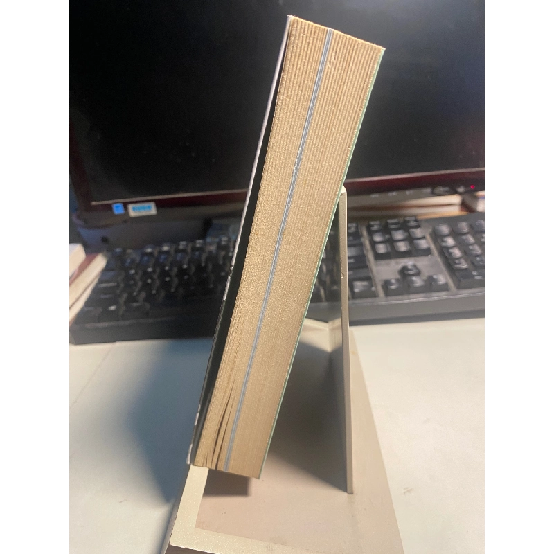 Singapore Của Tôi - Lý Vĩnh Linh, Nguyễn Thị Kim Anh 443344