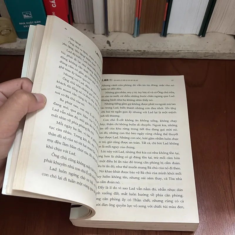 II LAD _ Câu Chuyện Về Phẩm Giá Của Một Con Chó - ALBERT PAYSON TERHUNE - ROGER VU (Dịch) 709217