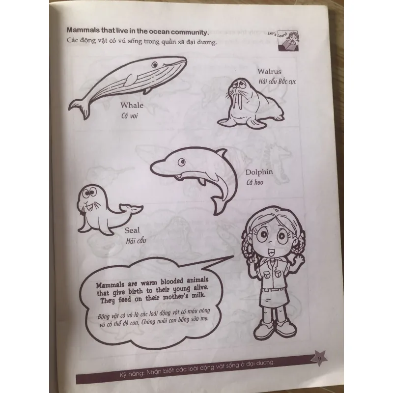 Cùng khám phá tiếng anh - Môi trường Sống - 3A 1004065