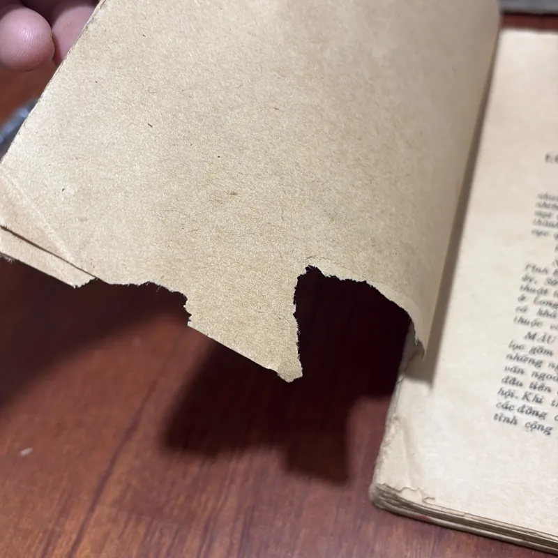 II Tập Văn Chọn Lọc: Màu Xanh Vàm Cỏ Tây (1975-1985) - 1986 765659