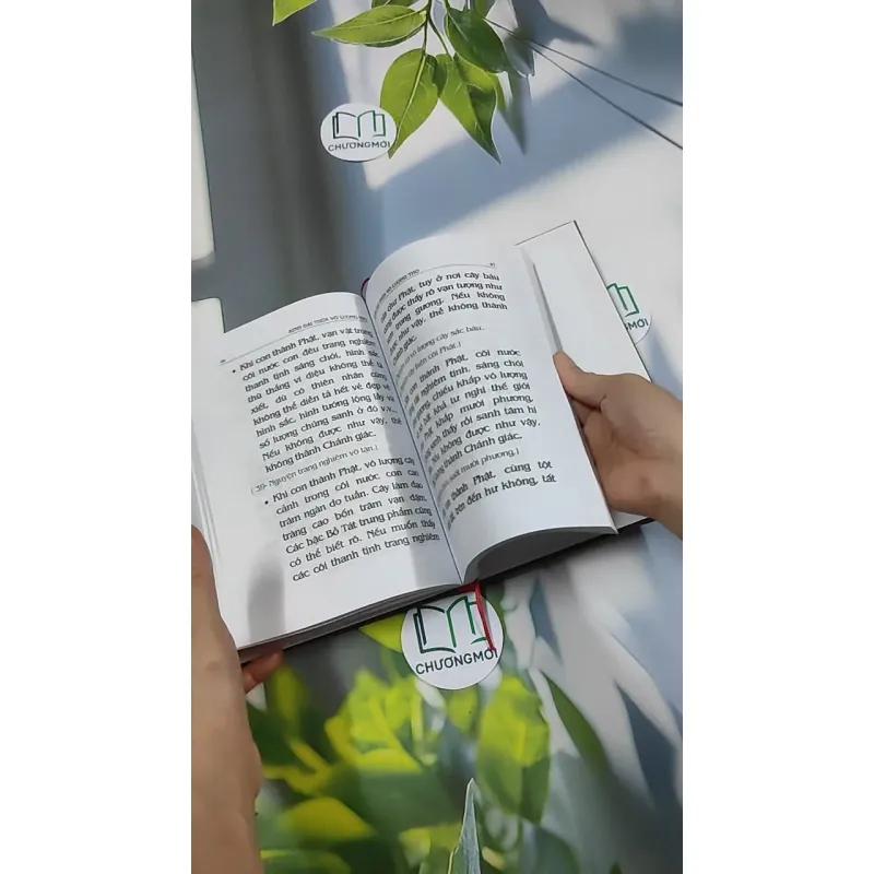 Đại Thừa Vô Lượng Thọ Trang Nghiêm Thanh Tịnh Bình Đẳng Giác Kinh - HT. Thích Đức Niệm 750812