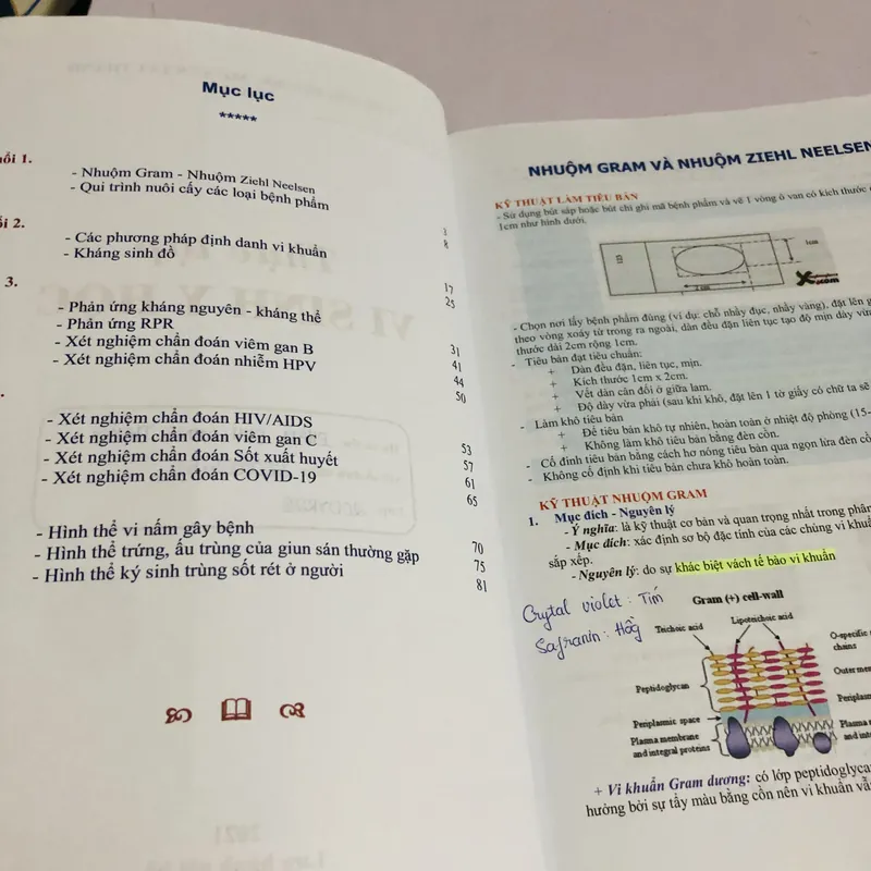 THỰC TẬP VI SINH Y HỌC  675339