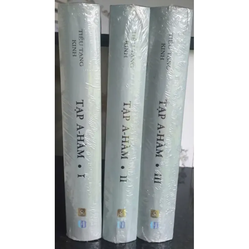 Tạp A- Hàm tập 1,2,3 - Tuệ Sỹ 704364