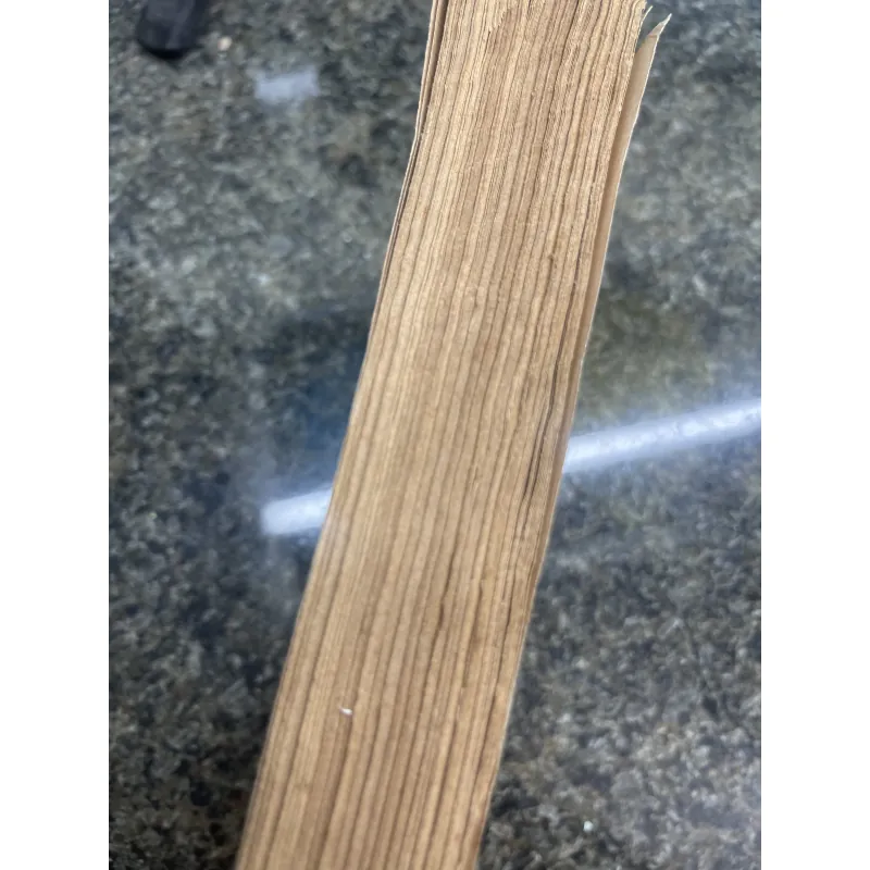 Bản du ca cuối cùng của loài người không còn đất sống E. M. Remarque XB 1989 763323