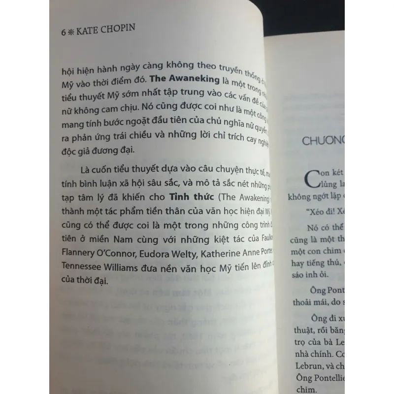 Tỉnh Thức - Kate Chopin 753918