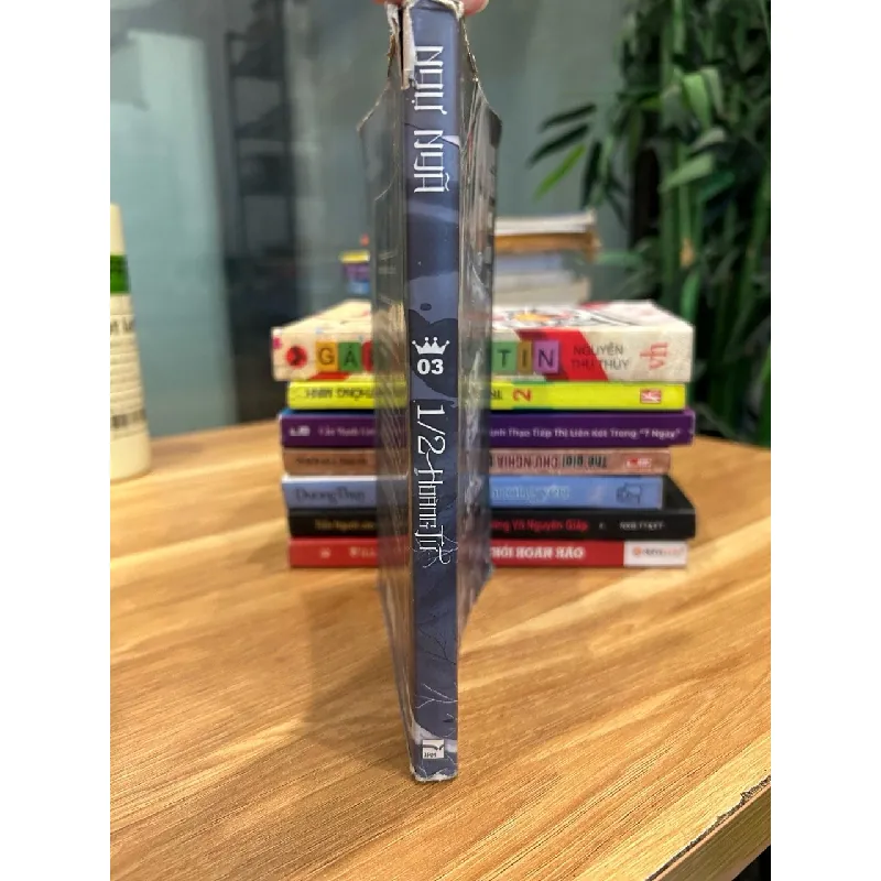 1/2 Hoàng tử (Tập 3: Infinite City Bất Bại) – Ngữ Nhi 571261