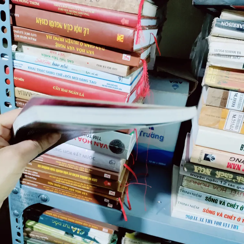 Bóng đè của Đỗ Hoàng Diệu 674852