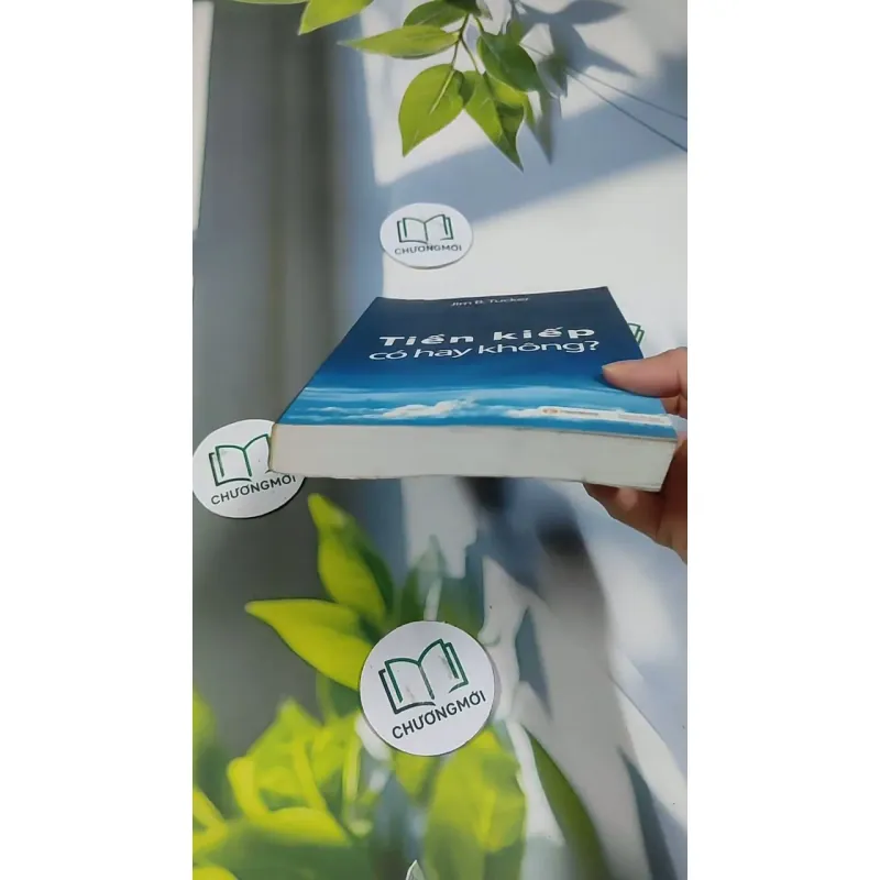 Tiền Kiếp - Có Hay Không? 705673