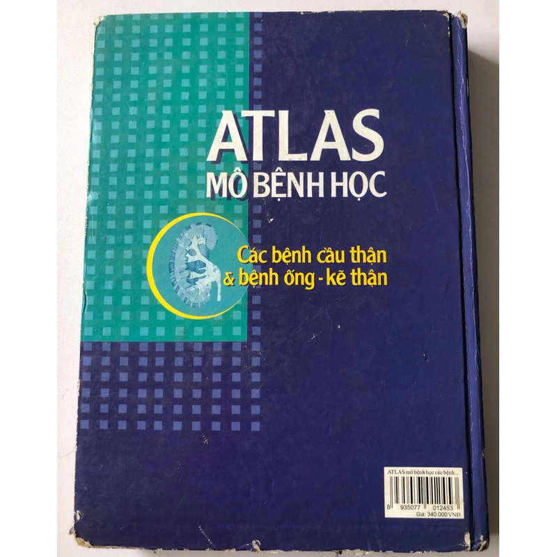 ATLAS MÔ BỆNH HỌC CÁC BỆNH CẦU THẬN & BỆNH ỐNG - KẼ THẬN 305949