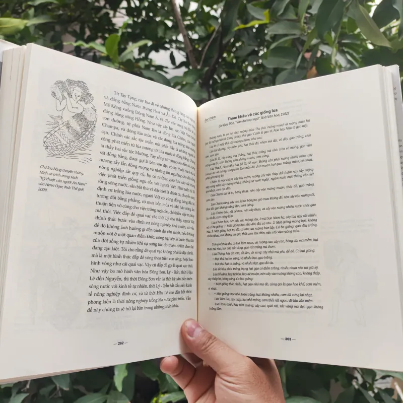 Văn Minh Vật Chất Của Người Việt - Phan Cẩm Thượng 926929