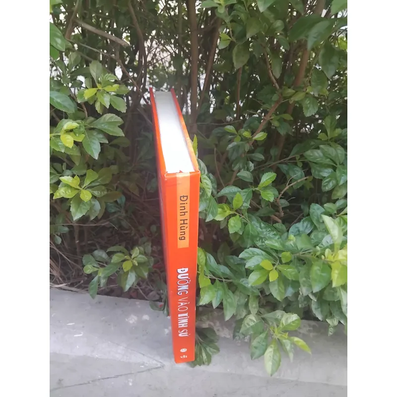 Đường vào tình sử thơ Đinh Hùng  731907