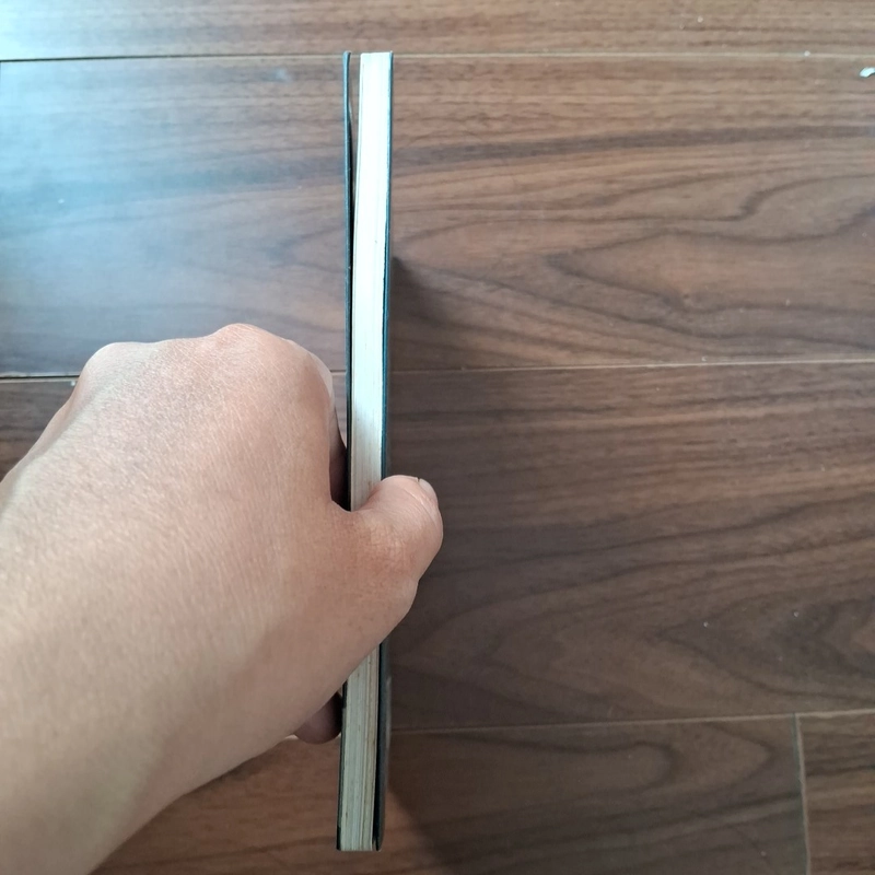 24 giờ trong đời một người đàn bà 506086