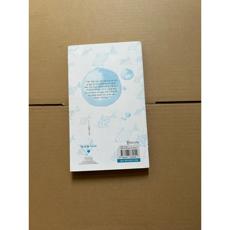 Mình là cá, việc của mình là bơi 734299