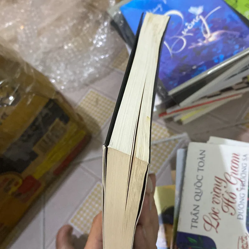 Ác mộng ven hồ từng bị ẩm 606450