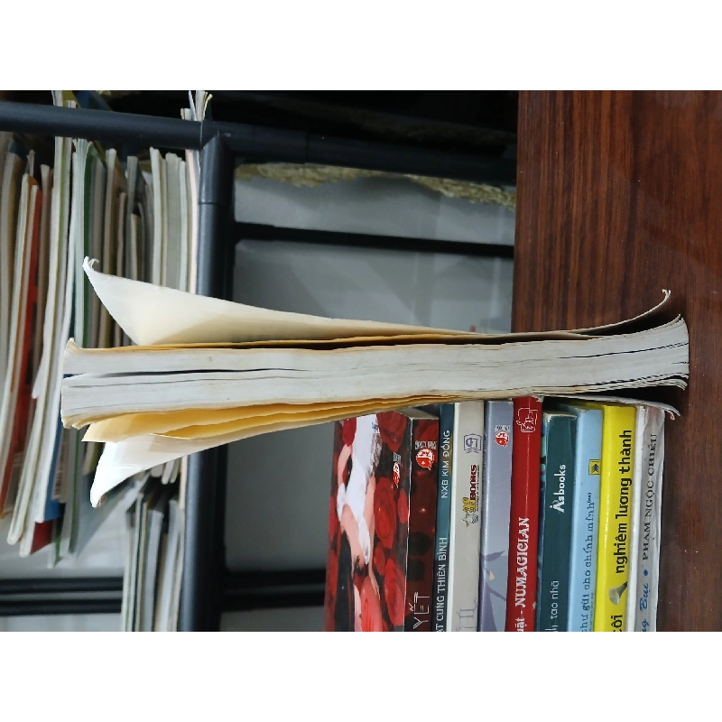 Trạch vận gia cư- Bích Ngọc 699059