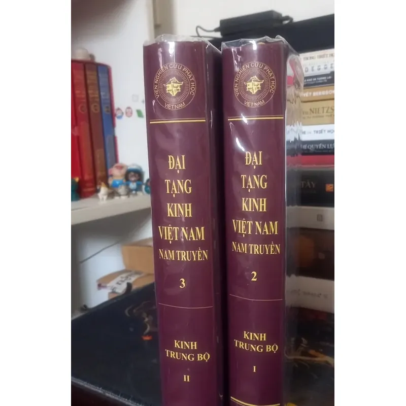 Nikaya - Kinh Trung Bộ (2 quyển) 553028