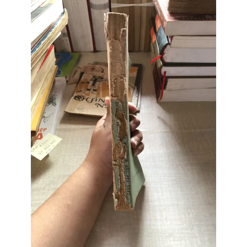 Hội thảo về nghiên cứu và phát triển hệ canh tác cho nông dân trồng lúa Châu Á 993264