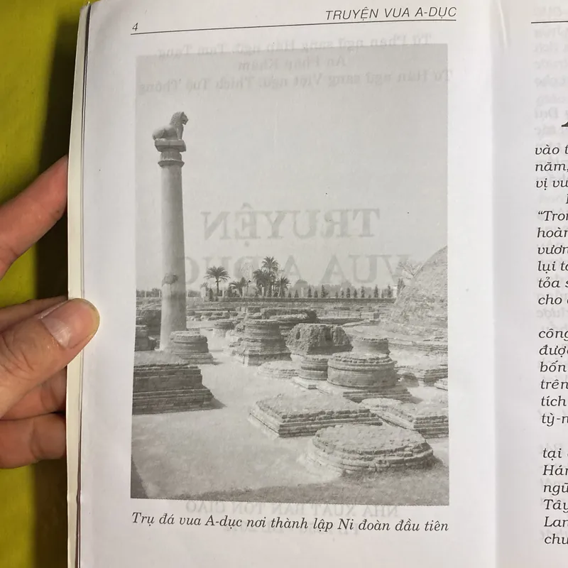 Truyện Vua A Dục - Tam Tạng An Pháp Khâm dịch hán ngữ - Thích Tuệ Thông Việt dịch 605505