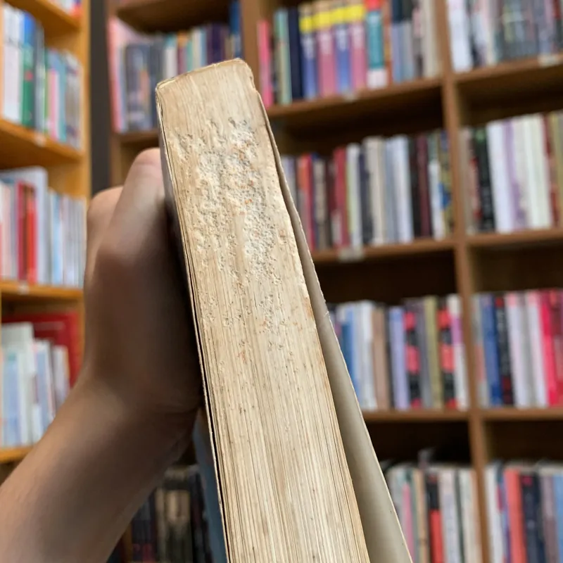 Nỗi cô đơn của quỷ - Robert Bolt 706797