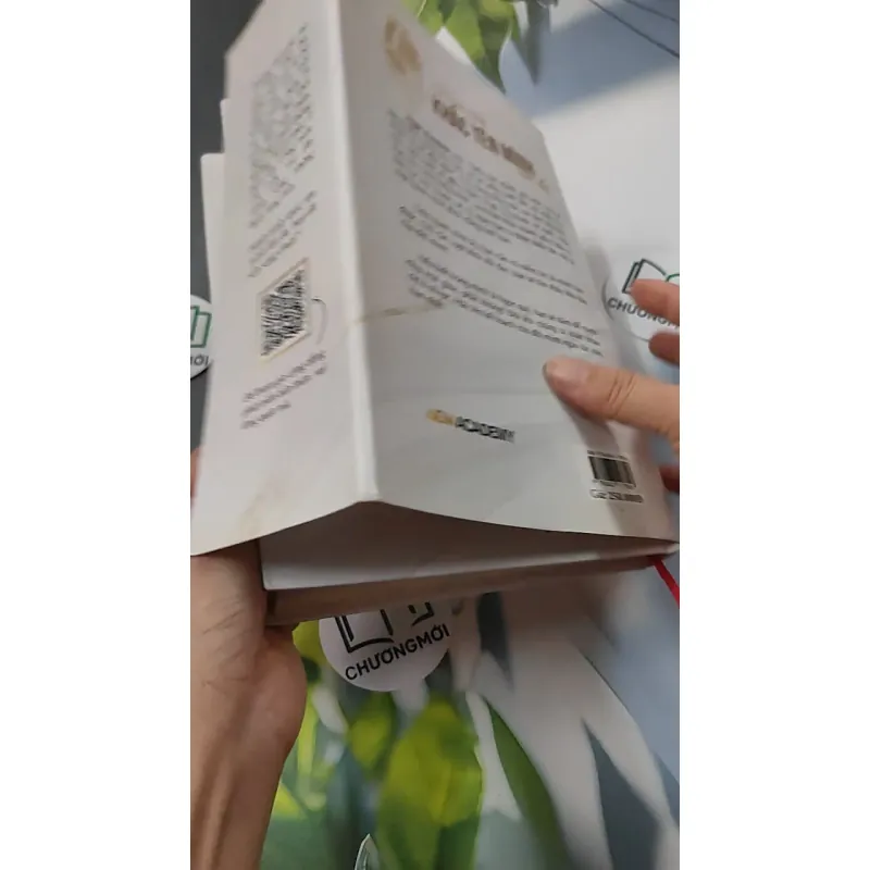 [MIỄN PHÍ BỌC SÁCH] Hành Trình Khắc Tên Mình Lên Đá - Diệu Thu 749593