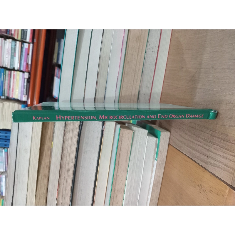 Hypertension, microcirculation and end organ damage - Norman Kaplan 702528