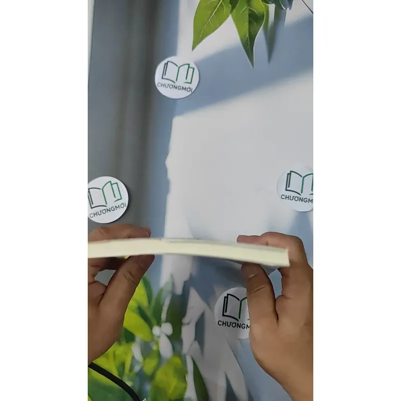 Hành Lý Hư Vô - Nguyễn Ngọc Tư 798396