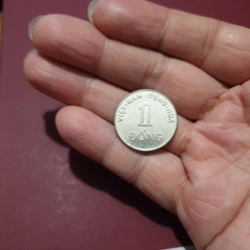 Tiền xu 1 đồng cây lúa 1971 933793