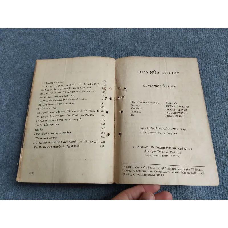 HƠN NỬA ĐỜI HƯ - VƯƠNG HỒNG SỂN 701931