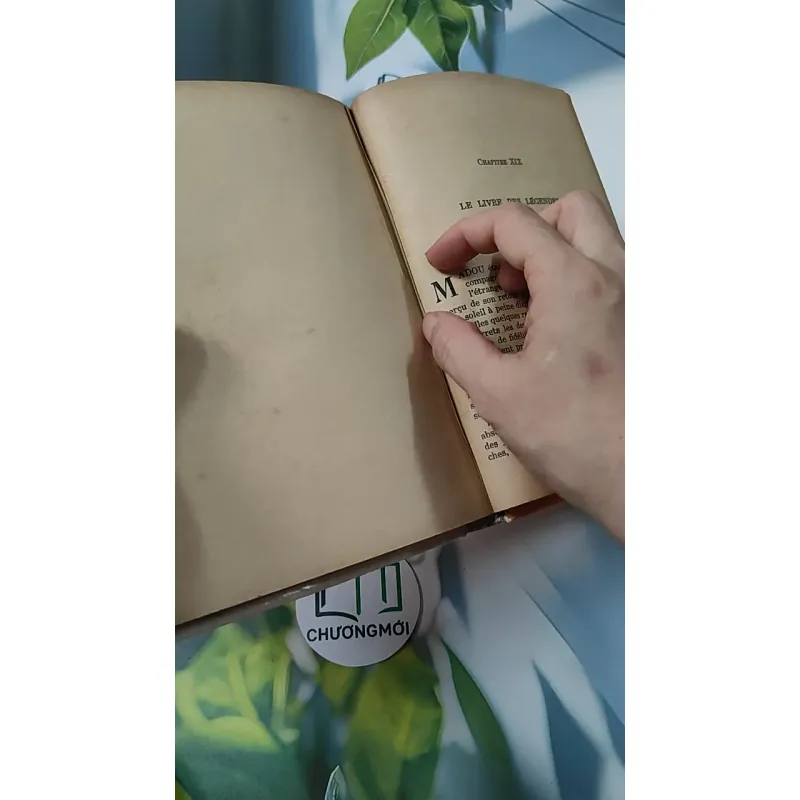 [MIỄN PHÍ BỌC SÁCH] En mission chez les bêtes - Pâquerette de Quénetain 749582