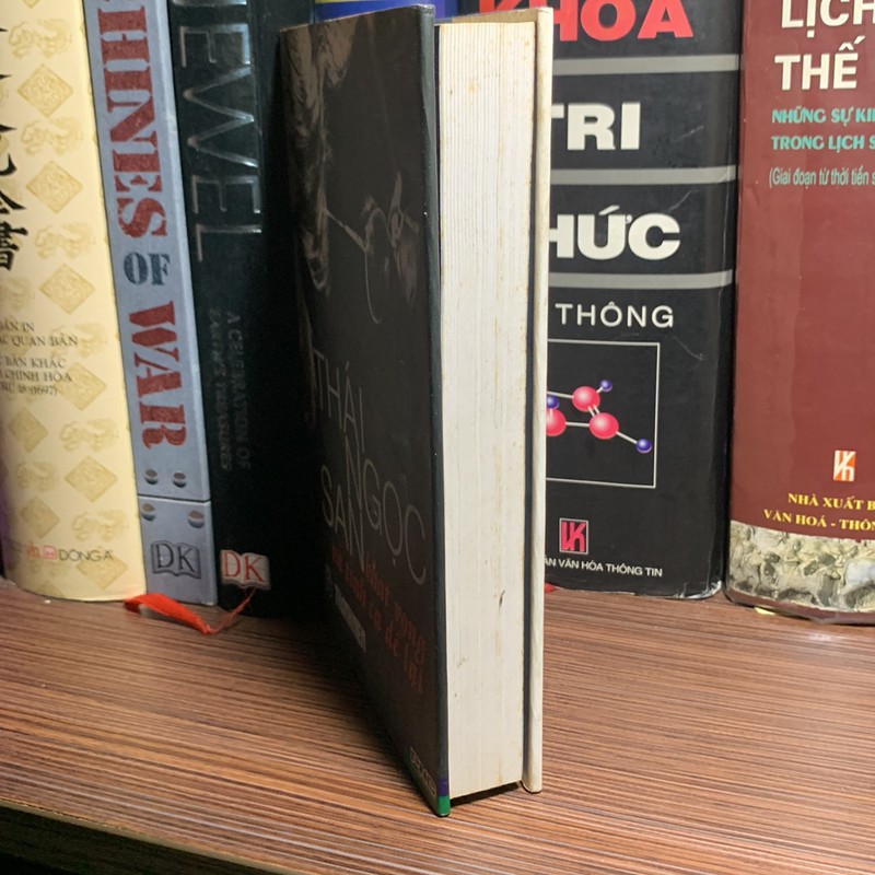 Thái Ngọc San khát vọng và tình ca để lại 187399